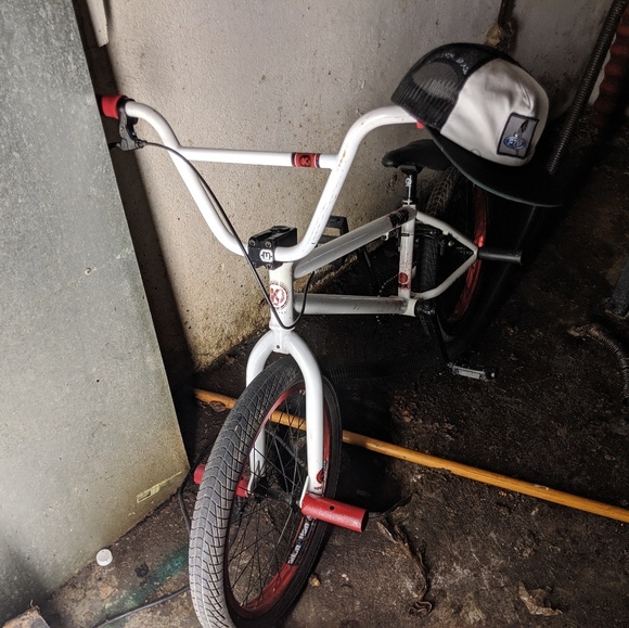 Meet your Posher, Lucas - Picture 1 of 1